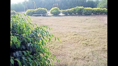 美丽的公园女孩性交与我一起我的阴道指甲坚硬